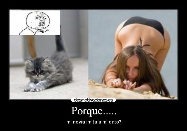 Porque..... - 