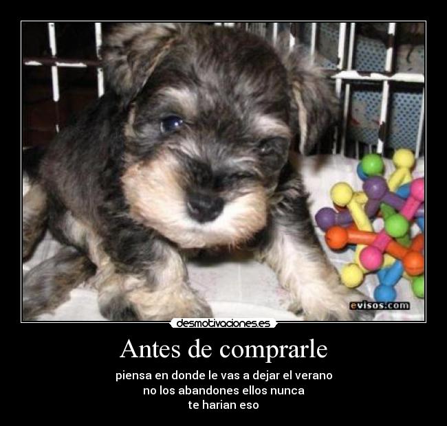 Antes de comprarle -