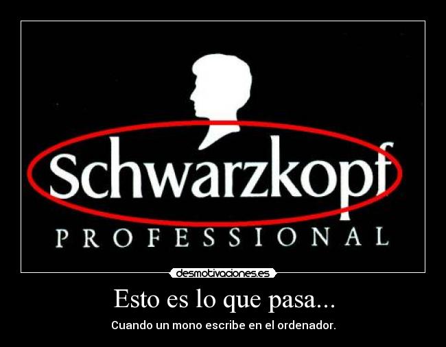 Esto es lo que pasa... - Cuando un mono escribe en el ordenador.