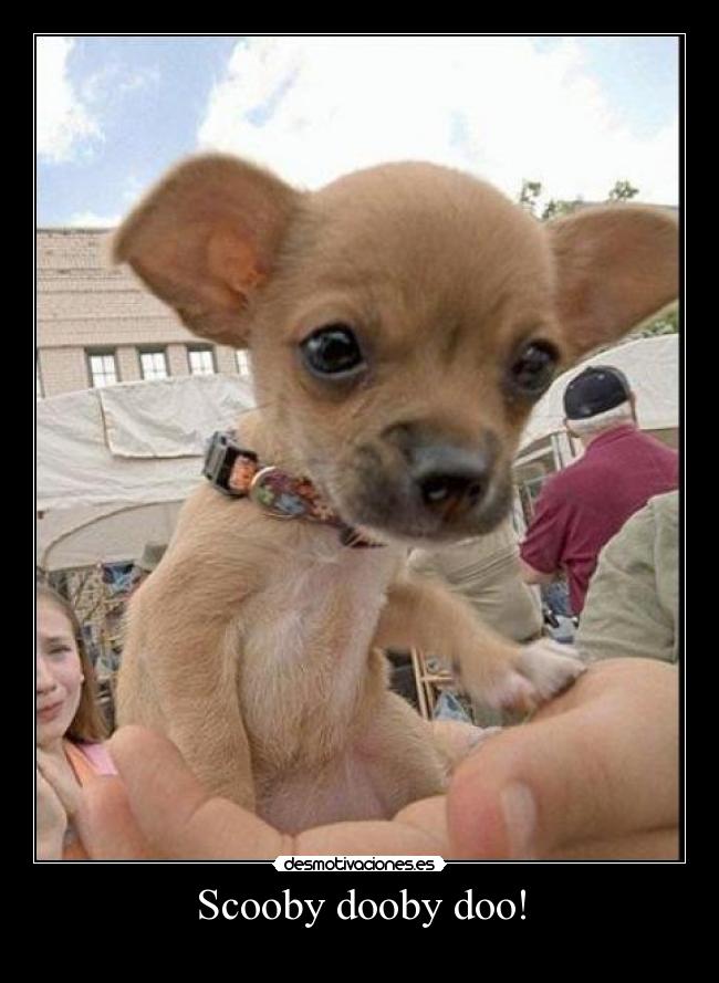 Scooby dooby doo! -