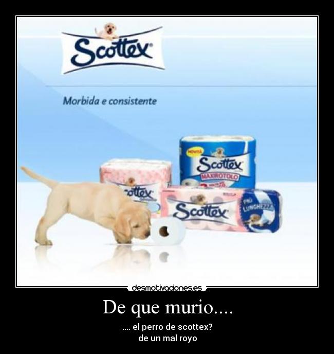 De que murio.... - .... el perro de scottex?
de un mal royo