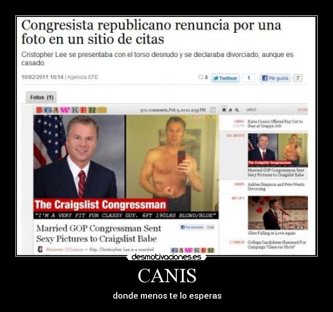 CANIS - donde menos te lo esperas