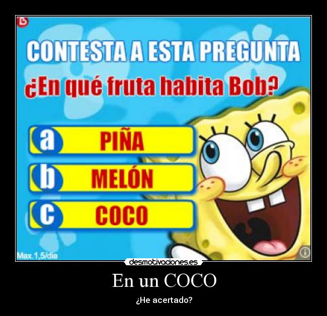 En un COCO - 