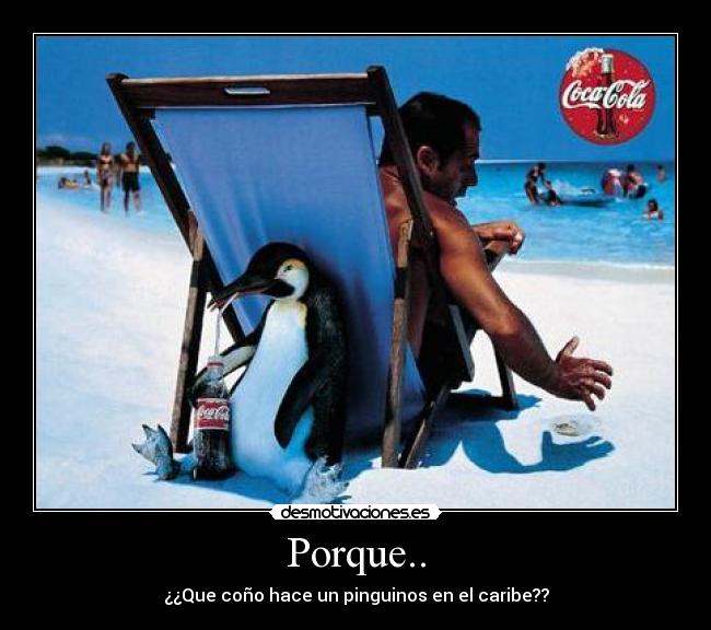 Porque.. - ¿¿Que coño hace un pinguinos en el caribe??