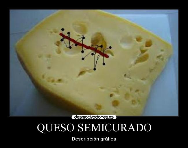 QUESO SEMICURADO - Descripción gráfica