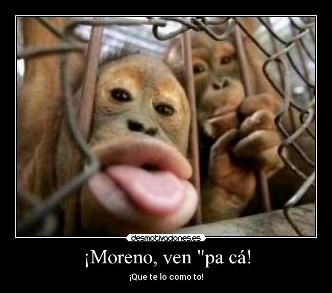 ¡Moreno, ven pa cá! -
