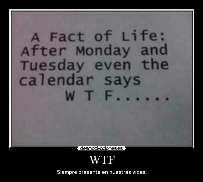 WTF - Siempre presente en nuestras vidas.