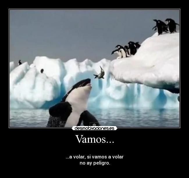 Vamos... - 
...a volar, si vamos a volar
no ay peligro.
