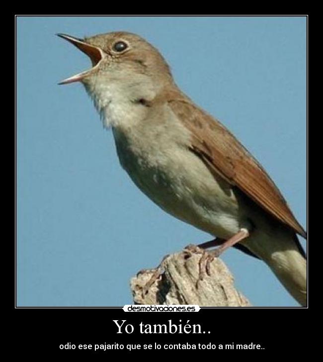 Yo también.. - odio ese pajarito que se lo contaba todo a mi madre..