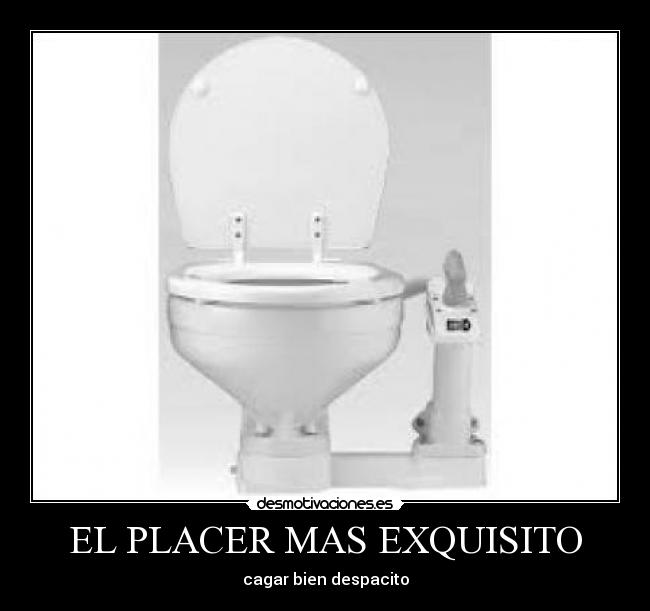 EL PLACER MAS EXQUISITO - cagar bien despacito