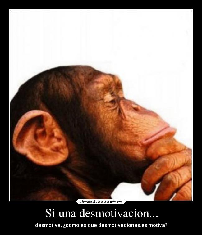 Si una desmotivacion... - desmotiva, ¿como es que desmotivaciones.es motiva?