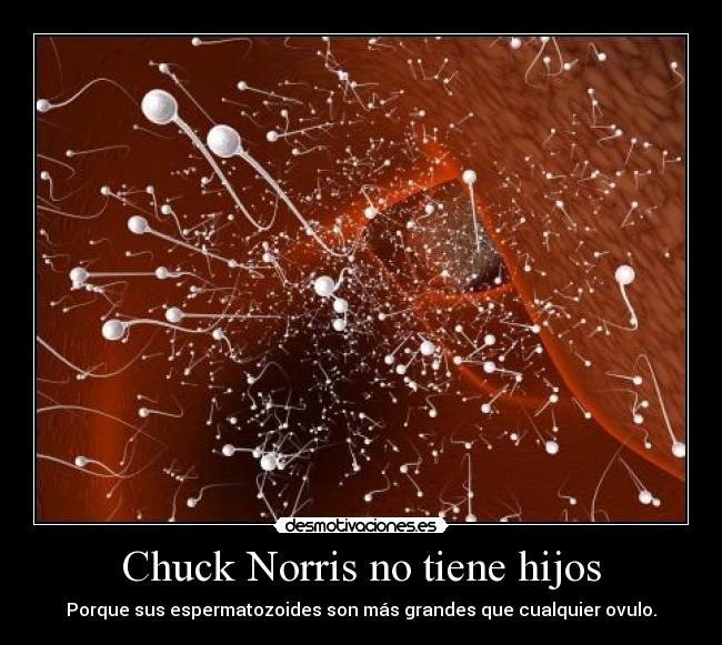 Chuck Norris no tiene hijos -