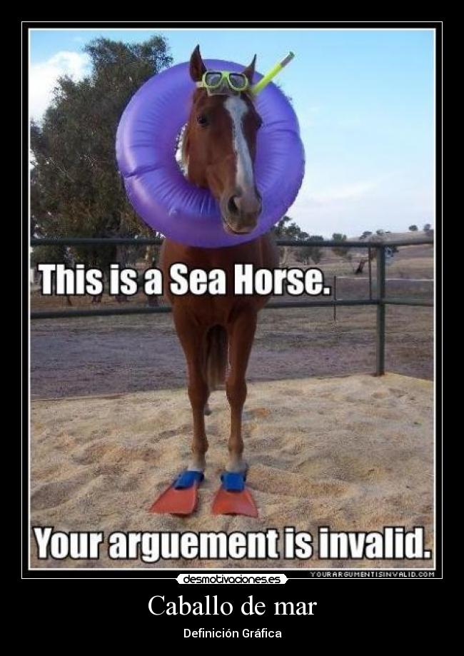Caballo de mar -
