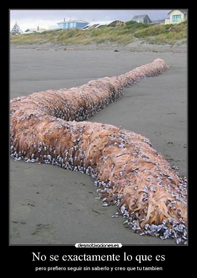 No se exactamente lo que es - pero prefiero seguir sin saberlo y creo que tu tambien