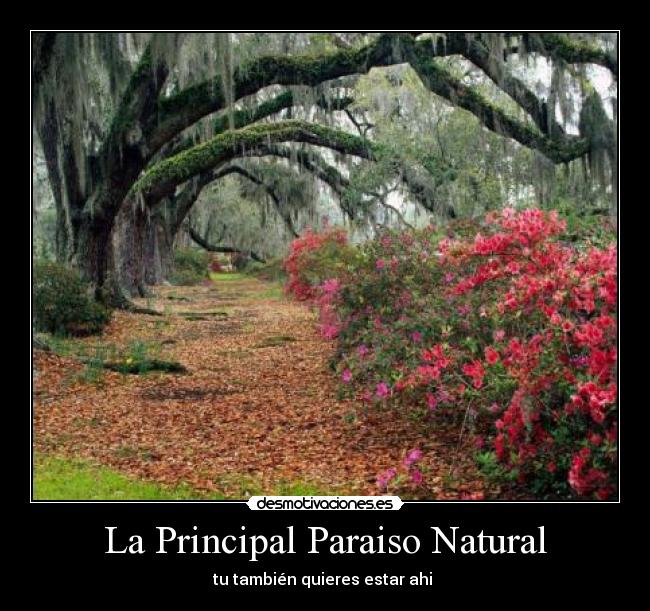 La Principal Paraiso Natural -