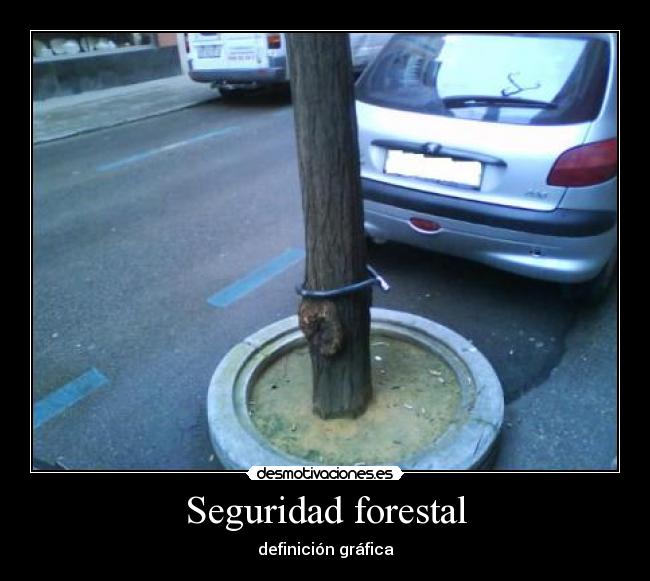 Seguridad forestal - 