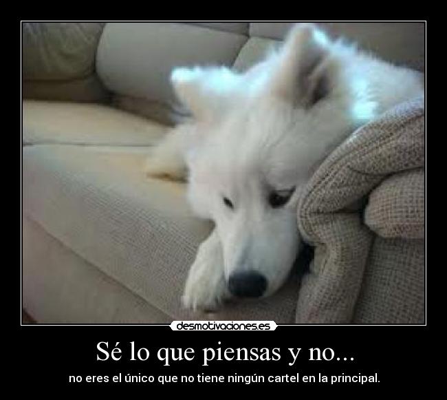 Sé lo que piensas y no... - 