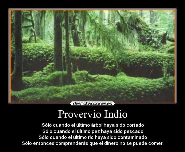 Provervio Indio - Sólo cuando el último árbol haya sido cortado
Sólo cuando el último pez haya sido pescado
Sólo cuando el último río haya sido contaminado
Sólo entonces comprenderás que el dinero no se puede comer.