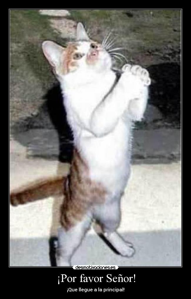¡Por favor Señor! - ¡Que llegue a la principal!