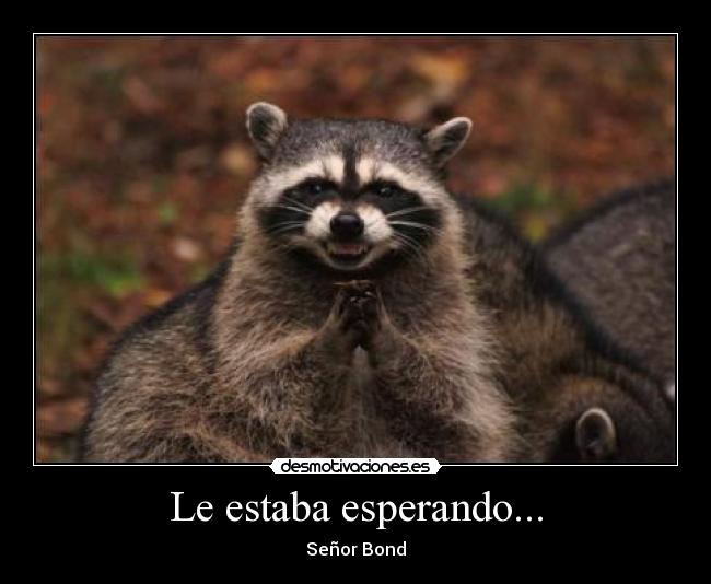 Le estaba esperando... - Señor Bond