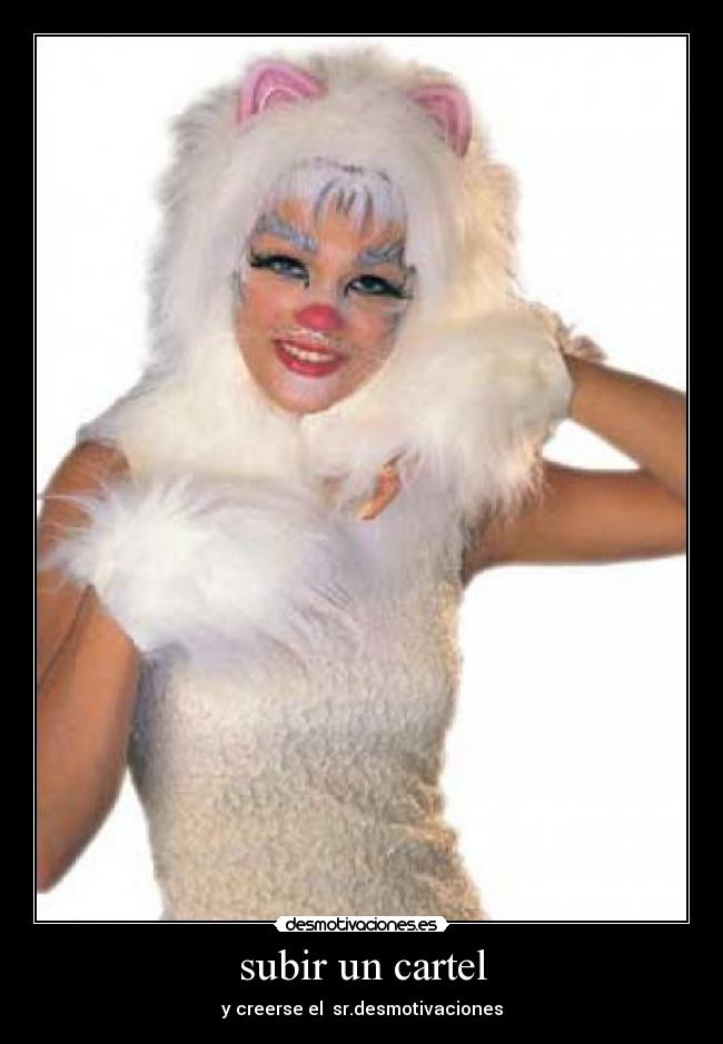 carteles gatos desmotivaciones