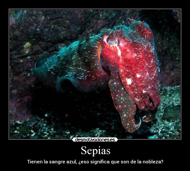 carteles sepias sangre azul nobleza desmotivaciones