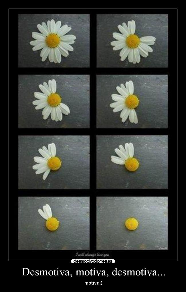 Desmotiva, motiva, desmotiva... - motiva:)