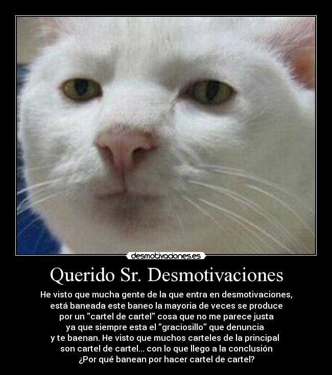 Querido Sr. Desmotivaciones -