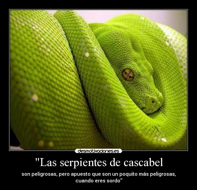Las serpientes de cascabel -