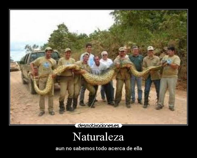 Naturaleza - aun no sabemos todo acerca de ella