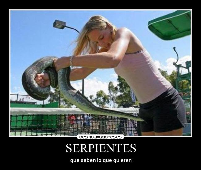 SERPIENTES - que saben lo que quieren