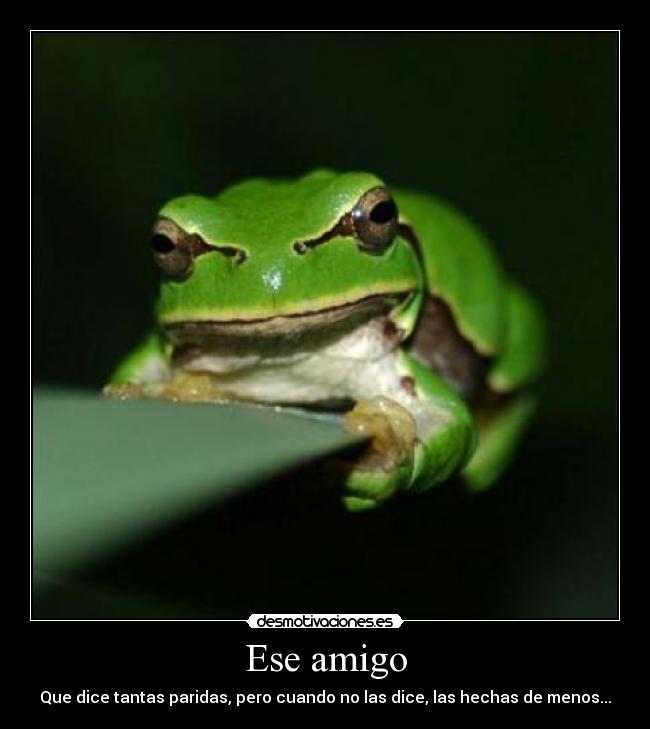 Ese amigo -