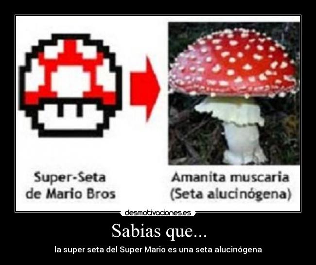 carteles seta desmotivaciones