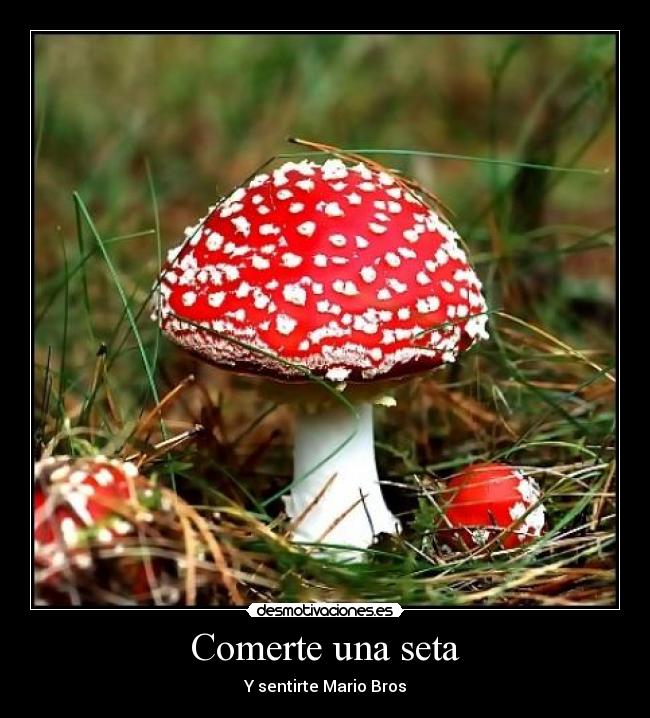 Comerte una seta - Y sentirte Mario Bros