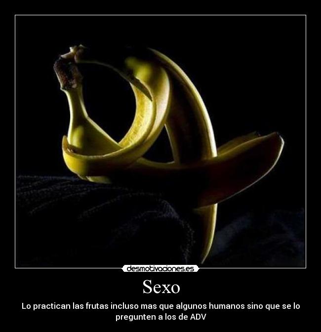 carteles sexo sexo adv frutas humanos desmotivaciones