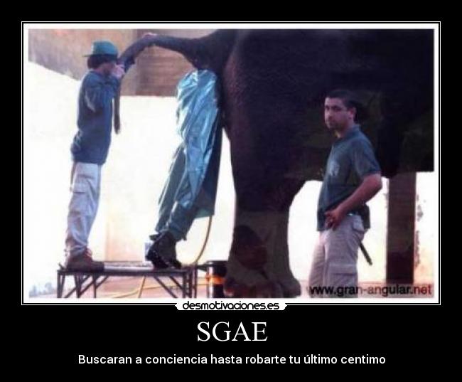SGAE -