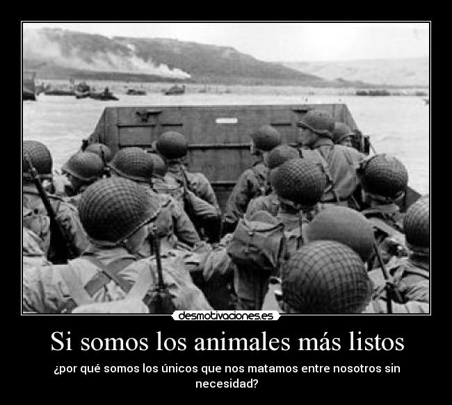 Si somos los animales más listos - 