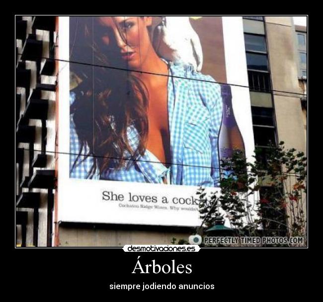 Árboles - siempre jodiendo anuncios