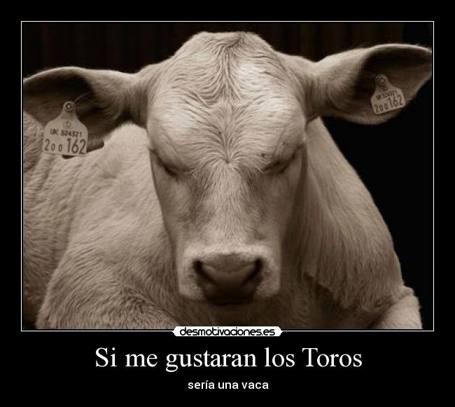 Si me gustaran los Toros - sería una vaca