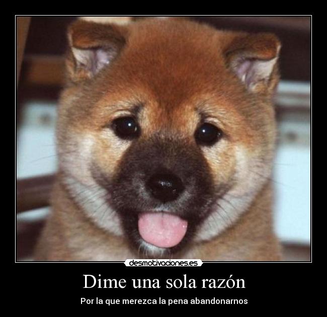 Dime una sola razón - 