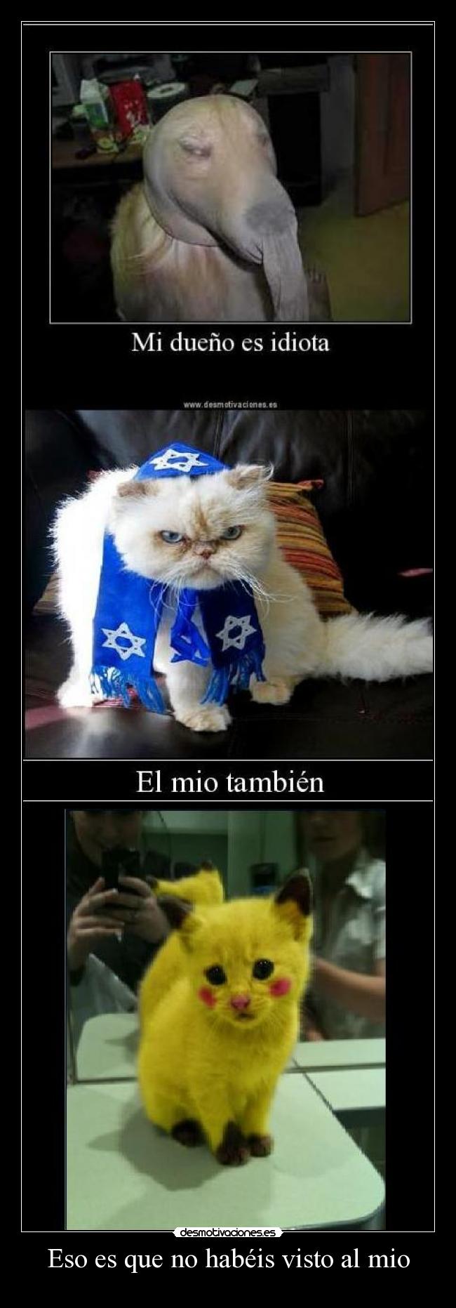 Eso es que no habéis visto al mio -