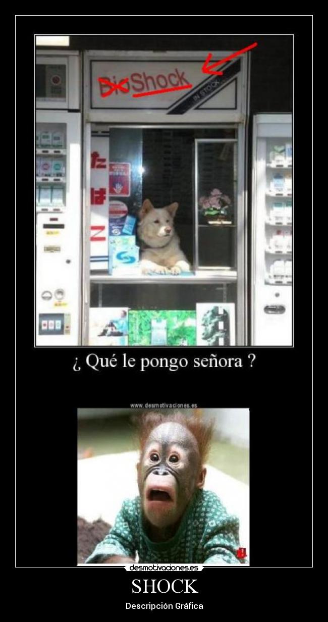 SHOCK - Descripción Gráfica