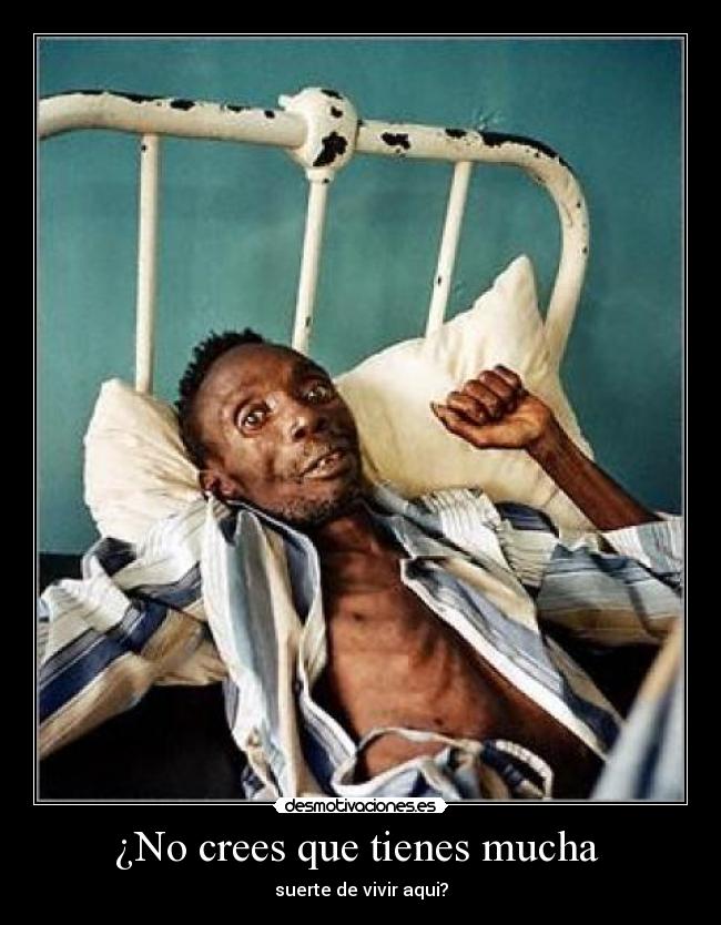 ¿No crees que tienes mucha - suerte de vivir aqui?