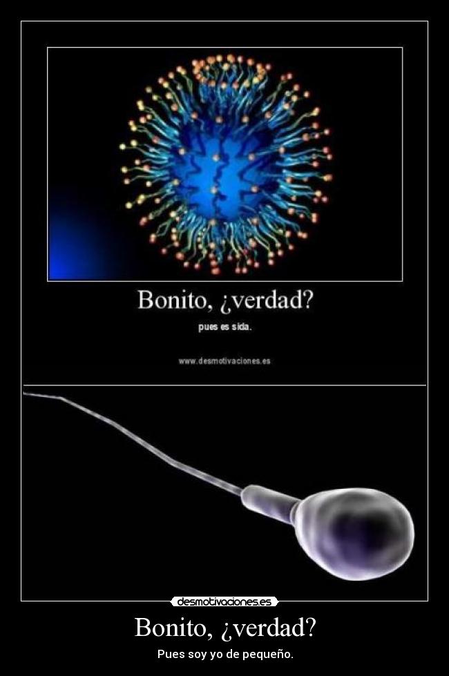 Bonito, ¿verdad? - 