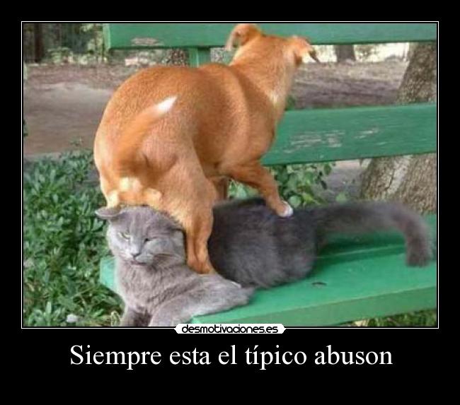 Siempre esta el típico abuson - 