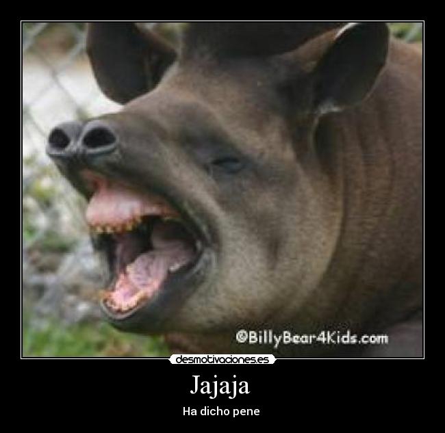 Jajaja - Ha dicho pene