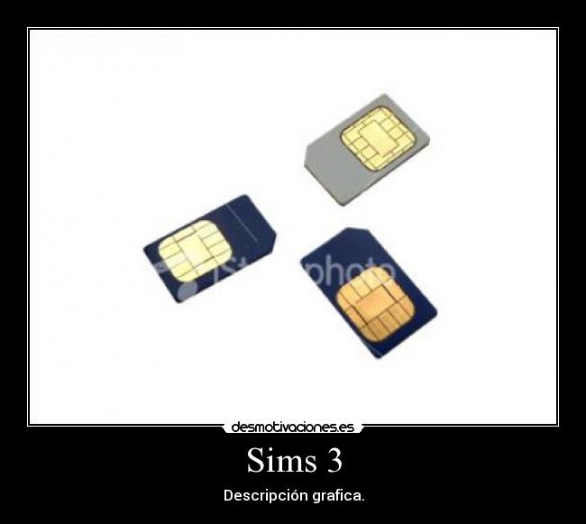 Sims 3 - Descripción grafica.