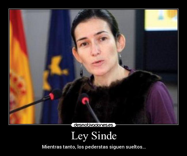 Ley Sinde -
