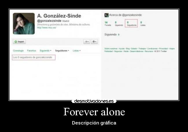 Forever alone - Descripción gráfica