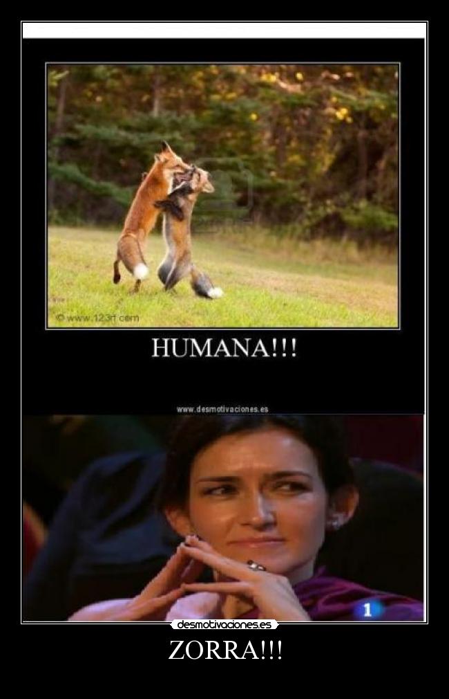 ZORRA!!! - 
